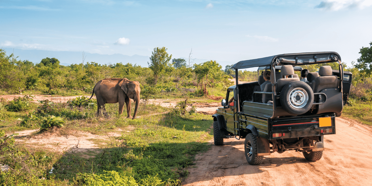 Nepal Jungle Safari Tour Image